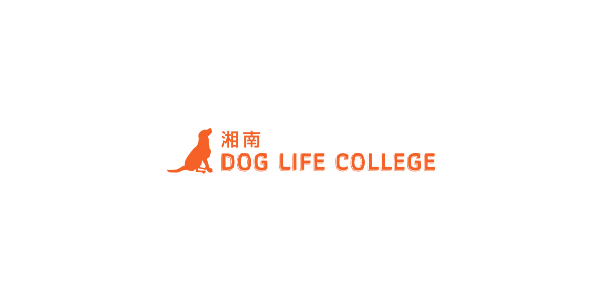 トリミングスクール 湘南dog Life Collegeのトリミングスクールについて トリミングスクール 湘南dog Life Collegeのトリミングスクールについて