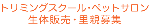 トリミングスクール・ペットサロン・生体販売・里親募集